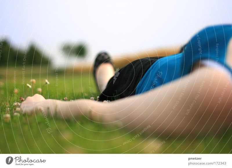 In den Himmel schauen Farbfoto Außenaufnahme Schwache Tiefenschärfe Froschperspektive Glück Zufriedenheit Erholung ruhig feminin Frau Erwachsene Arme Hand Natur