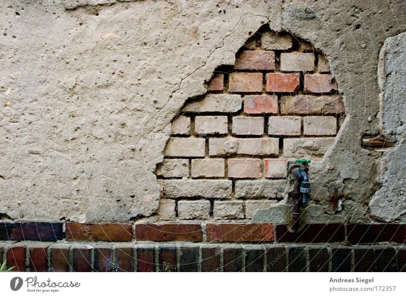 Alt werden Farbfoto Außenaufnahme Detailaufnahme Strukturen & Formen Menschenleer Textfreiraum links Kontrast Dresden Stadtrand Altstadt Haus Einfamilienhaus