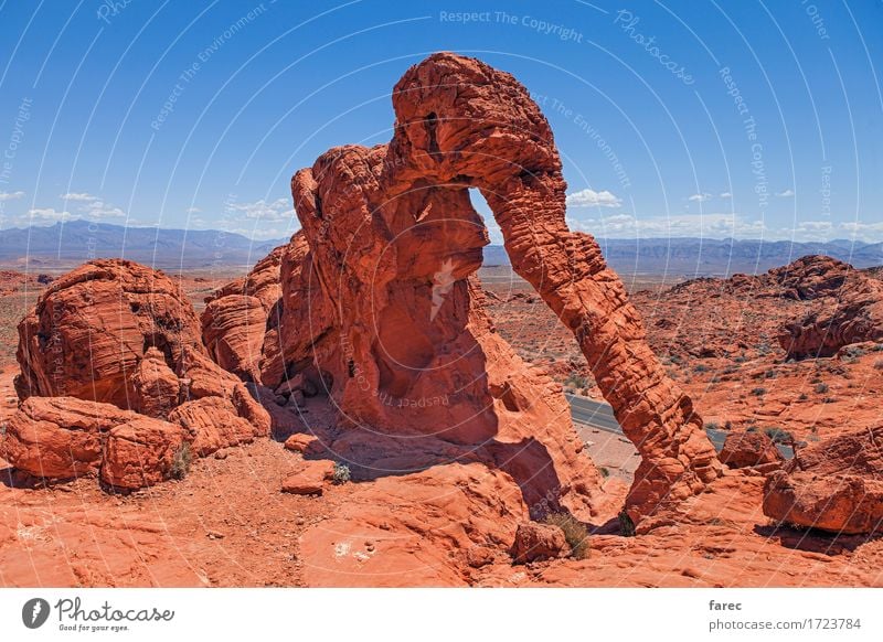 elephant rock valley of fire Landschaft Erde Sand Wolkenloser Himmel Sonne Sommer Schönes Wetter Berge u. Gebirge Wüste Valley of fire Sehenswürdigkeit Stein