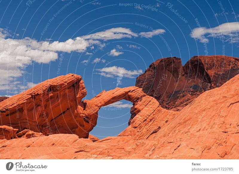 arch rock valley of fire Umwelt Natur Landschaft Urelemente Sand Schönes Wetter Felsen Berge u. Gebirge Wüste Valley of fire Sehenswürdigkeit Stein entdecken