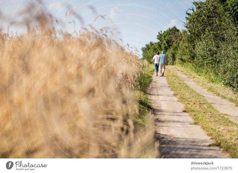 Kornfeld 9 Mensch Paar Partner Senior 2 45-60 Jahre Erwachsene Landschaft Sommer Nutzpflanze Feld gelb gold Glück Zufriedenheit Lebensfreude Zusammensein Treue