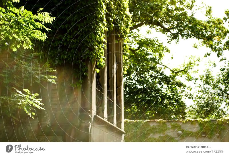 zimmer der prinzessin. Farbfoto Tag Haus Traumhaus Garten Pflanze Baum Burg oder Schloss Gebäude Wachstum Schlossturm Schlossgarten Romeo und Julia Prinzessin