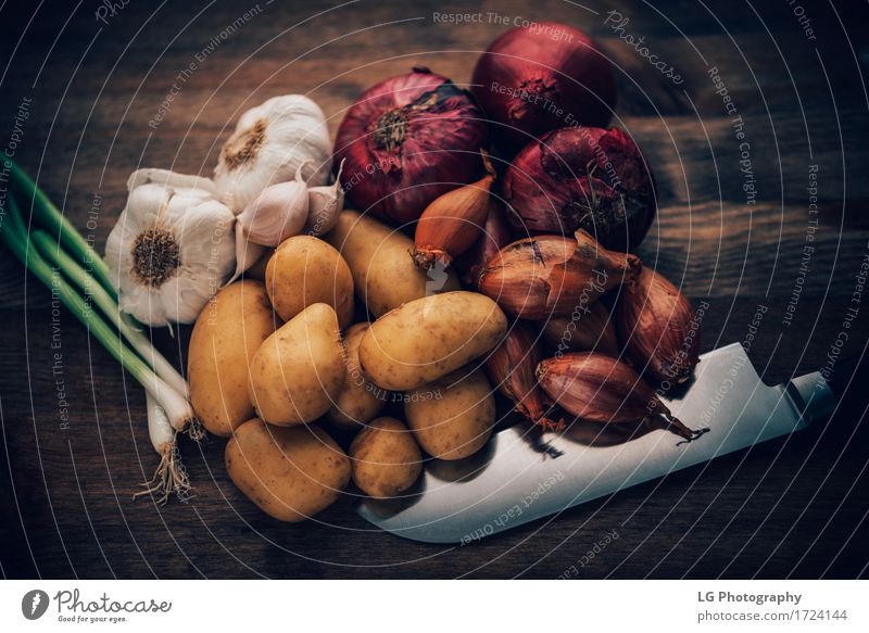 Geschmackvolle Bestandteile des Lebensmittelstilllebens Kräuter & Gewürze Küche Blatt frisch natürlich gelb grün rot Farbe Lorbeerblätter Holzplatte Glühbirnen