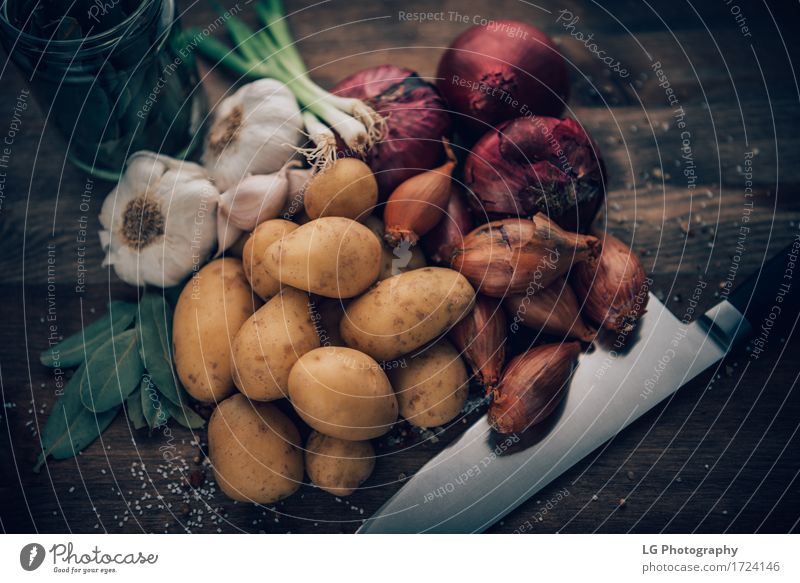 Geschmackvolle Bestandteile des Lebensmittelstilllebens Kräuter & Gewürze Küche Blatt frisch natürlich gelb grün rot Farbe Lorbeerblätter Holzplatte Glühbirnen