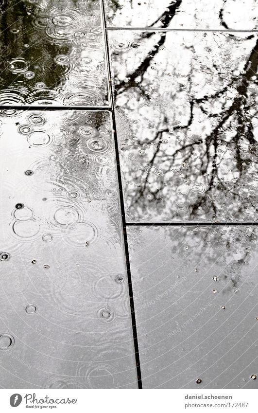 Wetteraussichten Gedeckte Farben Menschenleer Licht Schatten Silhouette Reflexion & Spiegelung Wasser Wassertropfen schlechtes Wetter Regen Stein dunkel