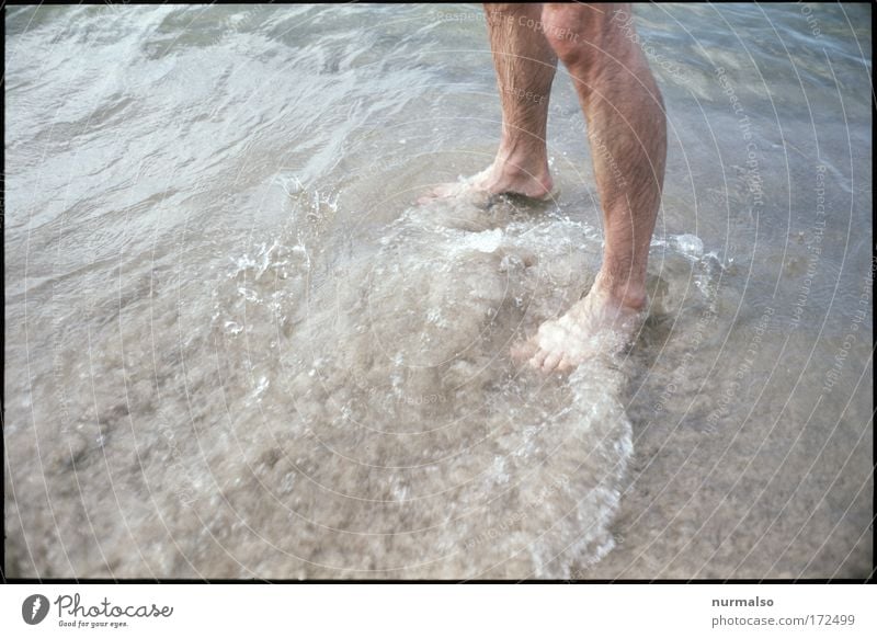 Storchersatz im Meer Farbfoto Morgen schön Haare & Frisuren Haut Freizeit & Hobby Spielen Ferien & Urlaub & Reisen Freiheit Mensch maskulin Beine Fuß 1 Natur