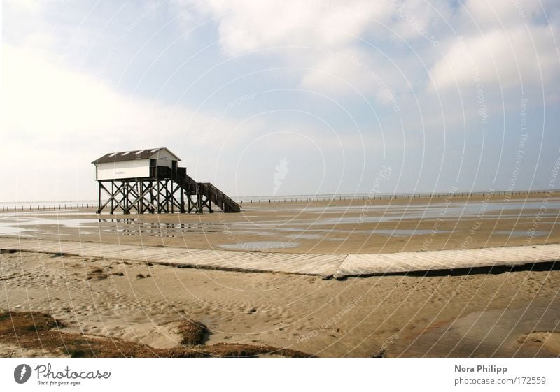 Haus an der Nordsee harmonisch Zufriedenheit ruhig Strand Meer Natur Landschaft Urelemente Erde Sand Luft Wasser Himmel Wolken Schönes Wetter Küste