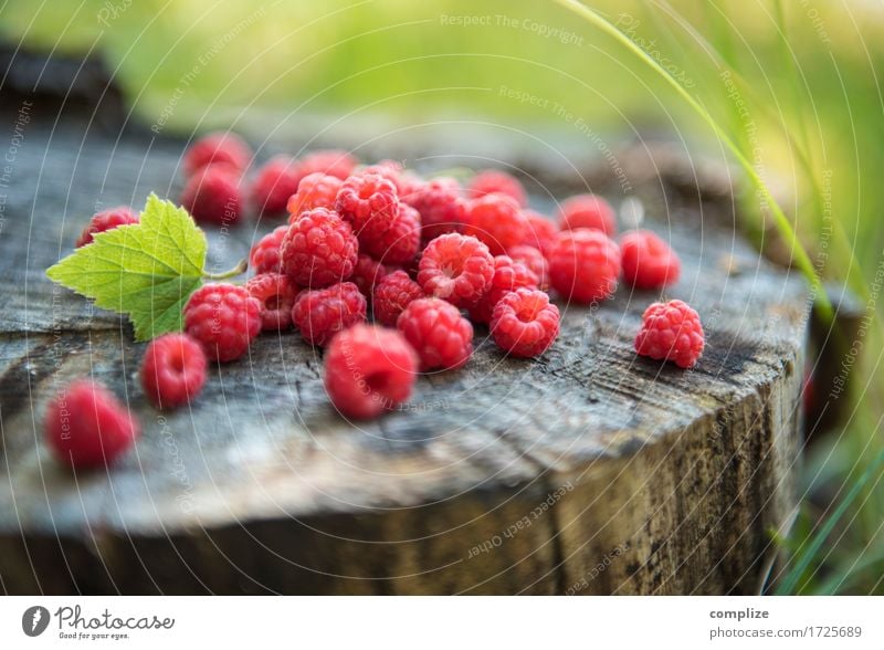 Himbeeren Ernährung Essen Mittagessen Büffet Brunch Picknick Bioprodukte Vegetarische Ernährung Lifestyle Gesundheit Gesunde Ernährung Pflanze Idylle Wellness