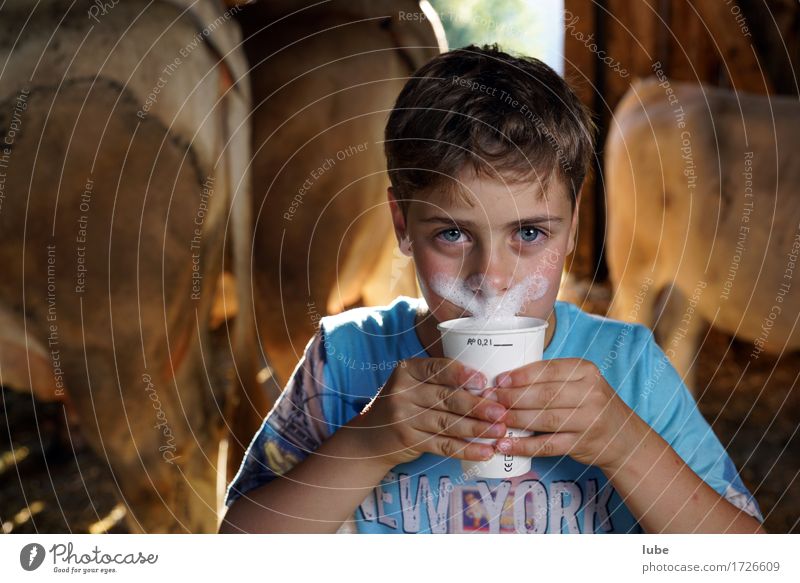 Milchtrinker Milcherzeugnisse Getränk trinken Erfrischungsgetränk Becher Milchschaum Kuhstall Bart Milchbecher Oberlippenbart Farbfoto Blick in die Kamera