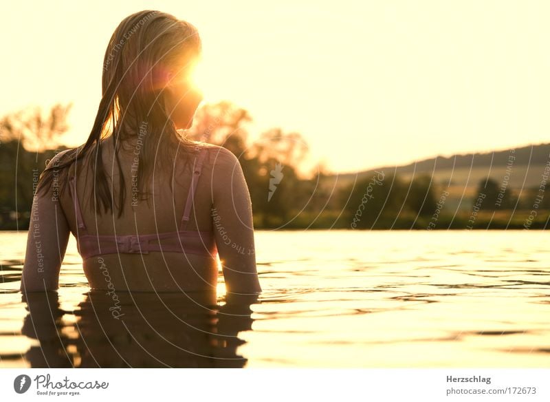 Sehnsucht. Farbfoto Außenaufnahme Textfreiraum rechts Oberkörper Rückansicht Wegsehen feminin Kopf Haare & Frisuren Rücken Wasser Schwimmen & Baden berühren