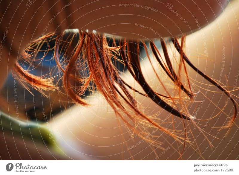 Farbfoto Licht Haare & Frisuren Haut Künstler Sonne Sommer genießen rot schön