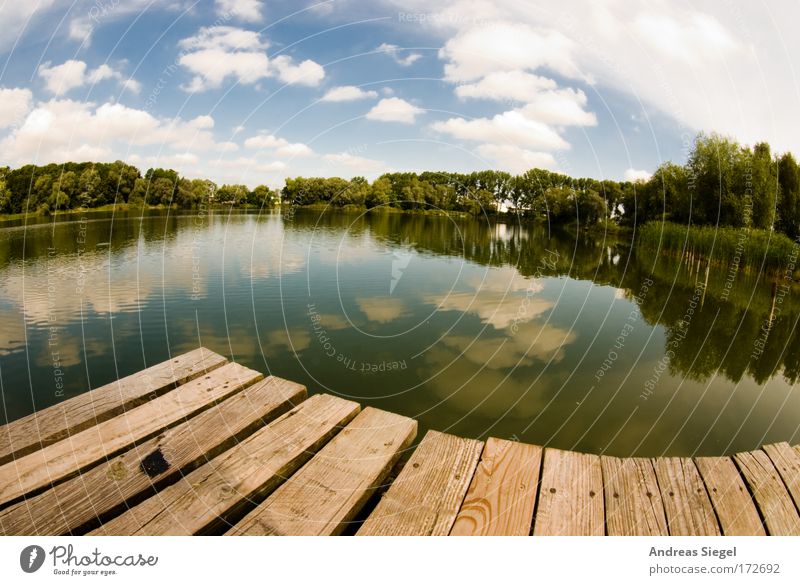 Schwung am See Farbfoto Außenaufnahme Menschenleer Tag Licht Reflexion & Spiegelung Sonnenlicht Fischauge Freizeit & Hobby Ferien & Urlaub & Reisen Freiheit