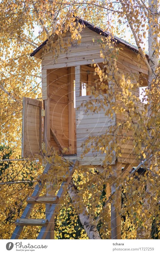 Holzhaus auf einem Baum Spielen Sommer Haus Garten Kind Natur Landschaft Park Wald Spielplatz Gebäude Architektur Balkon einzigartig Baumhaus Spielhaus