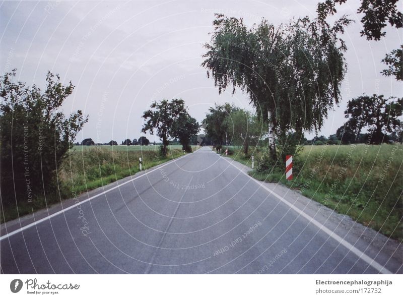 Landeflug Farbfoto Außenaufnahme Menschenleer Tag Zentralperspektive Umwelt Landschaft Himmel Wolken Horizont Sommer Feld Verkehrswege Straße authentisch hell