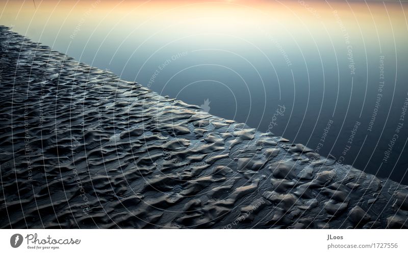 Ripples Umwelt Natur Erde Sand Wasser Sommer Klima Schönes Wetter Küste Seeufer Strand Nordsee Meer Insel Amrum Deutschland Europa Menschenleer Stein Netz