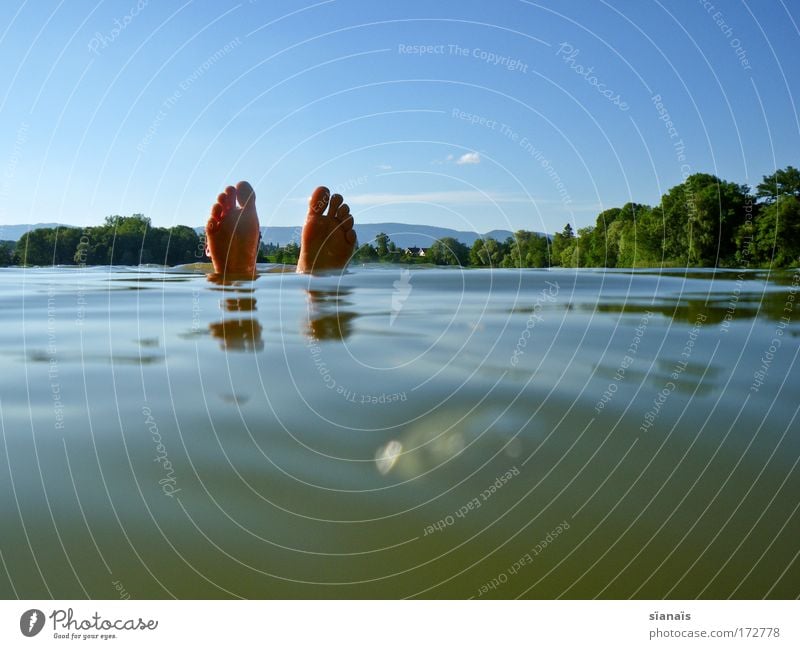 flossen hoch! Schwimmen & Baden Ferien & Urlaub & Reisen Ausflug tauchen Schwimmbad Mensch maskulin Mann Erwachsene Fuß 1 Wasser See aeschisee lustig blau