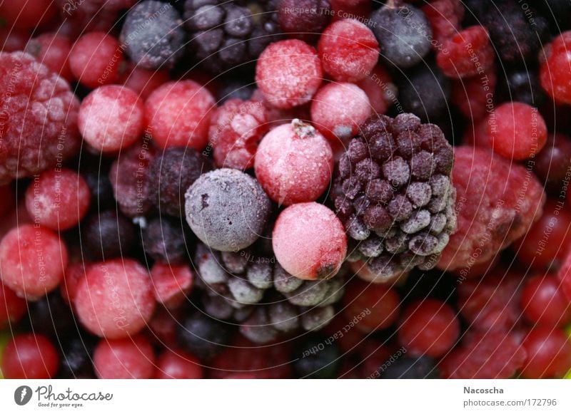 Frosty Beer Farbfoto mehrfarbig Innenaufnahme Detailaufnahme Menschenleer Frucht Ernährung schön Gesundheit Wellness genießen frisch kalt lecker saftig sauer