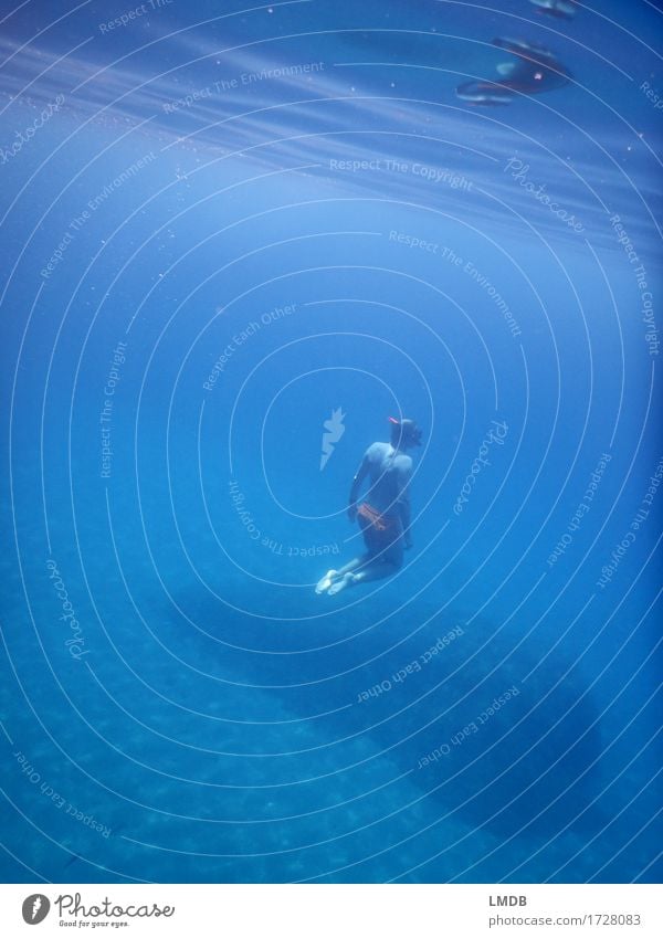 abtauchen... Sport Wassersport Schwimmen & Baden Mensch maskulin Mann Erwachsene Körper 1 30-45 Jahre sportlich Unendlichkeit nass blau Willensstärke Vertrauen