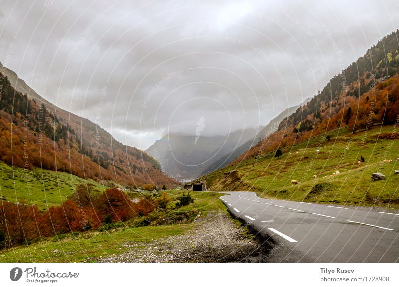 Pyrenees Atlantiques schön Sonne Umwelt Natur Landschaft Pflanze Herbst Baum Blatt Park Wald See Fluss Straße Wege & Pfade hell natürlich gelb grün rot Farbe