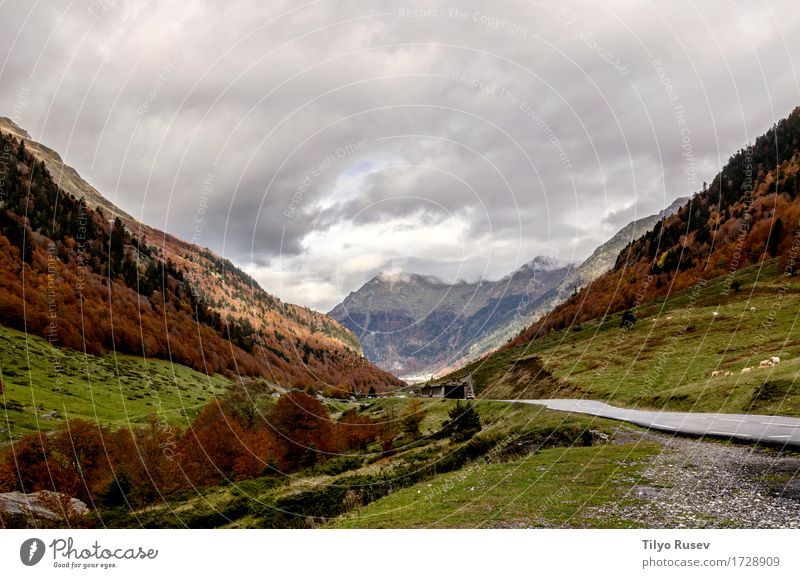 Pyrenees Atlantiques schön Sonne Umwelt Natur Landschaft Pflanze Herbst Baum Blatt Park Wald See Fluss Straße Wege & Pfade hell natürlich gelb grün rot Farbe