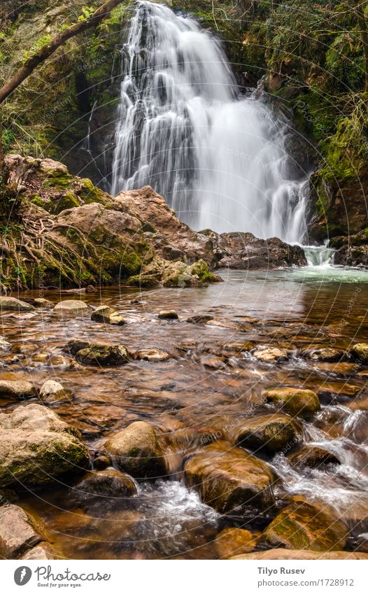 Schlucken Ferien & Urlaub & Reisen Tourismus Natur Baum Park Felsen See Bach Fluss Stein grün Kaskade Spanien Wasser Navarra Seide legen Basken strömen Abschaum