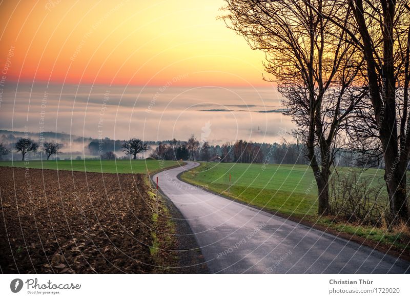 Abendnebel Wellness Leben harmonisch Wohlgefühl Zufriedenheit Sinnesorgane Erholung ruhig Ferien & Urlaub & Reisen Tourismus Ausflug Ferne Freiheit