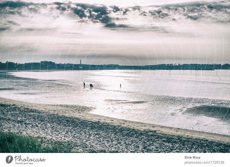 Wittdün / Amrum Ferien & Urlaub & Reisen Tourismus Ausflug Abenteuer Ferne Freiheit Sommer Sommerurlaub Sonne Strand Meer Insel Wellen Mensch 4 Umwelt Natur