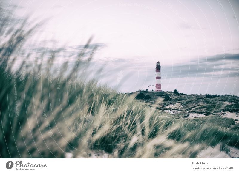 Leuchtturm Wittdün / Amrum Kur Ferien & Urlaub & Reisen Tourismus Ausflug Ferne Freiheit Sommer Sommerurlaub Strand Meer Insel Schifffahrt Zeichen