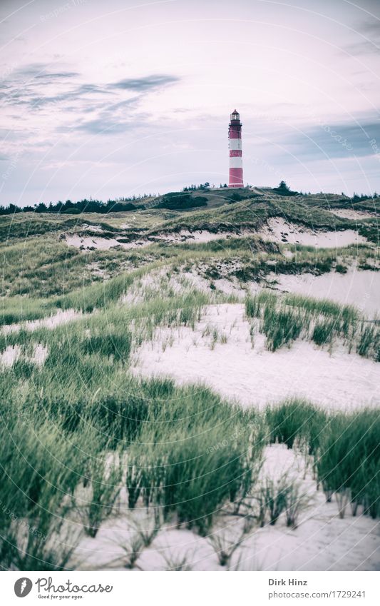 Leuchtturm Wittdün / Amrum Ferien & Urlaub & Reisen Tourismus Ausflug Ferne Freiheit Umwelt Natur Landschaft Himmel Horizont Pflanze Küste Nordsee Meer Insel