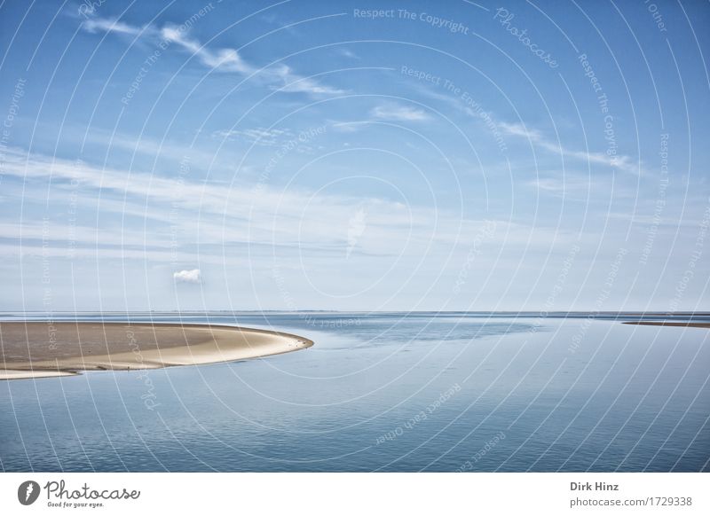 Wattenmeer Schleswig-Holstein Schwimmen & Baden Ferien & Urlaub & Reisen Tourismus Ausflug Ferne Freiheit Kreuzfahrt Sommer Sommerurlaub Sonne Strand Meer Insel