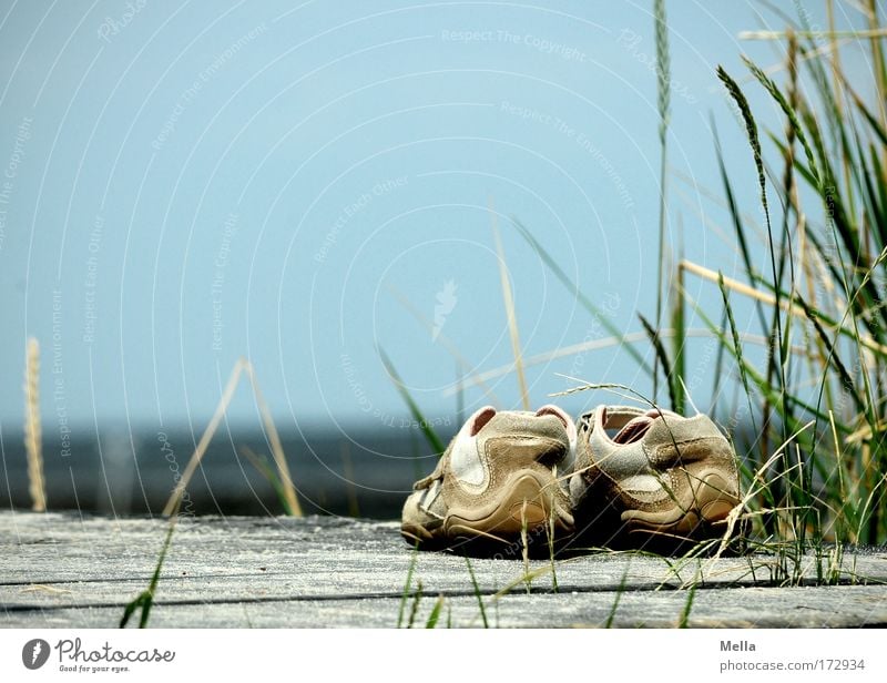 400 - Traum vom Sommer Wohlgefühl Zufriedenheit Erholung ruhig Kur Ferien & Urlaub & Reisen Sommerurlaub Strand Meer Wolkenloser Himmel Gras Küste Seeufer