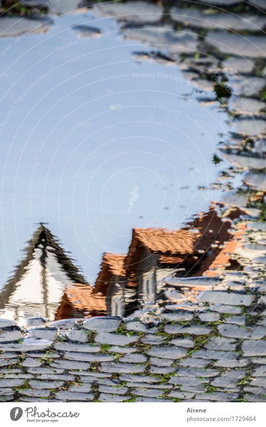 AST 9 | aus einer anderen Welt II Wasser Wassertropfen Himmel Wolkenloser Himmel Schönes Wetter Kleinstadt Altstadt Haus Traumhaus Dach Dachgiebel Fachwerkhaus