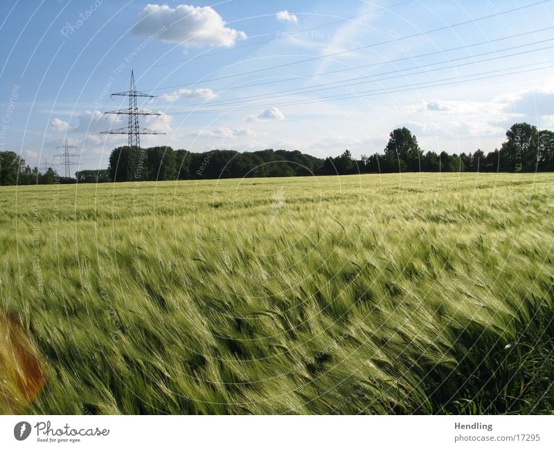 Der Wind das himmlische Kind Feld Strommast Sonne goldes Feld Baluer Himmel