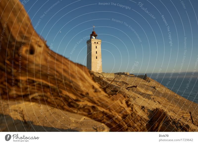 Rubjerg Knude Fyr im Abendlicht Ferien & Urlaub & Reisen Sommerurlaub Umwelt Natur Landschaft Wolkenloser Himmel Schönes Wetter Ast Küste Nordsee Meer Skagerrak