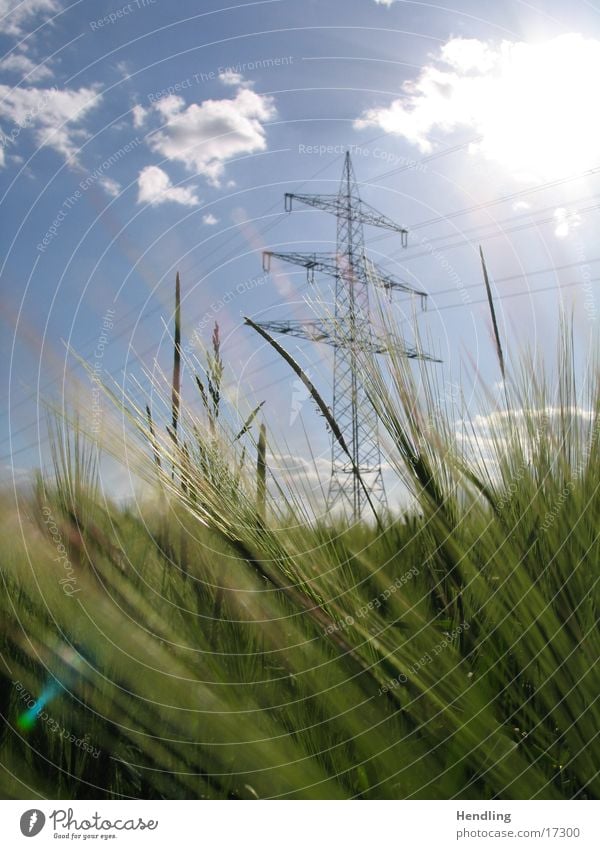 Der Mast steht stramm Strommast die Sonne strahlt der Wind weht das Feld wird durchgeschüttelt