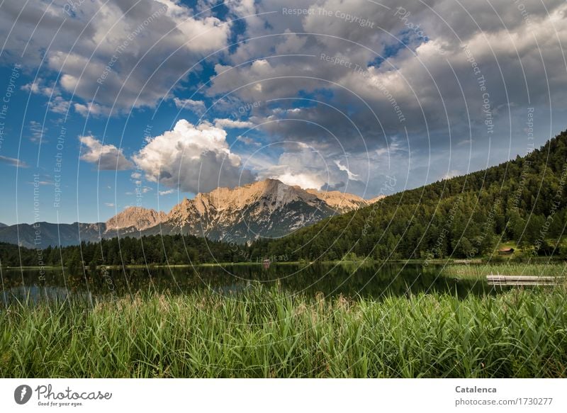 Wolken ziehen auf über den Bergsee, das am Schilf am Ufer leuchtet grün Angeln "Baden," Wandern Schwimmen & Baden Landschaft Pflanze Himmel Gewitterwolken