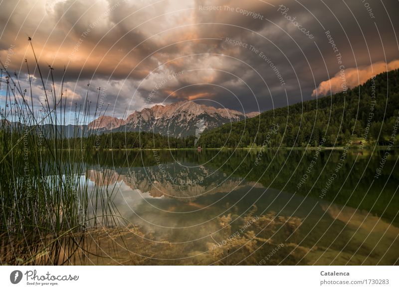 Gewittriges Wetter am Bergsee Ferien & Urlaub & Reisen Berge u. Gebirge wandern Schwimmen & Baden Natur Landschaft Pflanze Urelemente Luft Wasser Gewitterwolken