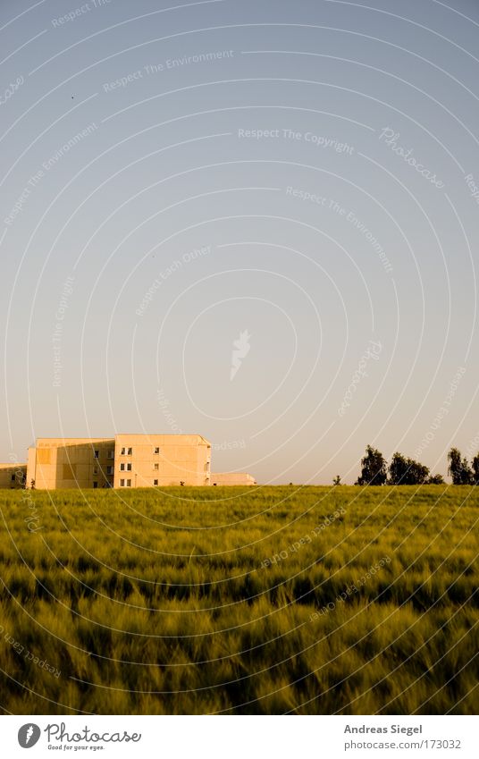 Stadt, Land, kein Fluss Farbfoto Außenaufnahme Menschenleer Textfreiraum oben Textfreiraum Mitte Tag Abend Sonnenlicht Umwelt Natur Landschaft Himmel