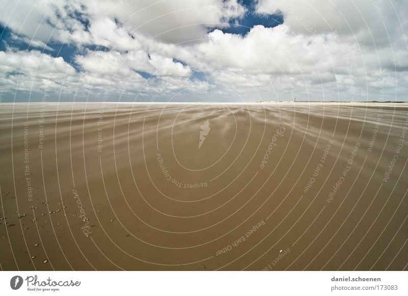 immer dieser Wind ! Farbfoto Menschenleer Textfreiraum unten Textfreiraum Mitte Sonnenlicht Weitwinkel Natur Landschaft Sand Himmel Wolken Sturm Küste Strand