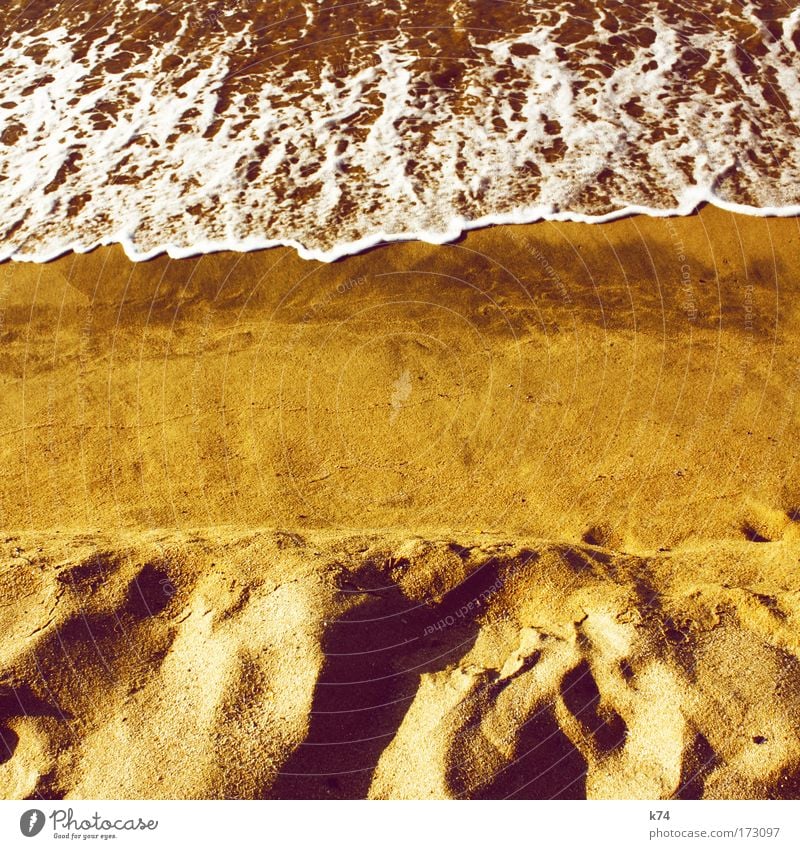 o.T. Farbfoto Außenaufnahme Menschenleer Textfreiraum Mitte Tag Sommer Sommerurlaub Sonne Strand Meer Wellen Urelemente Erde Sand Küste Seeufer Nordsee Ostsee