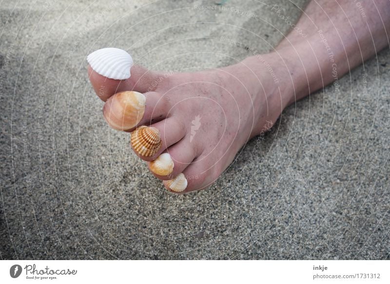 Zeit zum Sammeln ||| harmonisch Sinnesorgane Erholung ruhig Freizeit & Hobby Ferien & Urlaub & Reisen Sommer Sommerurlaub Sonne Sonnenbad Strand Erwachsene