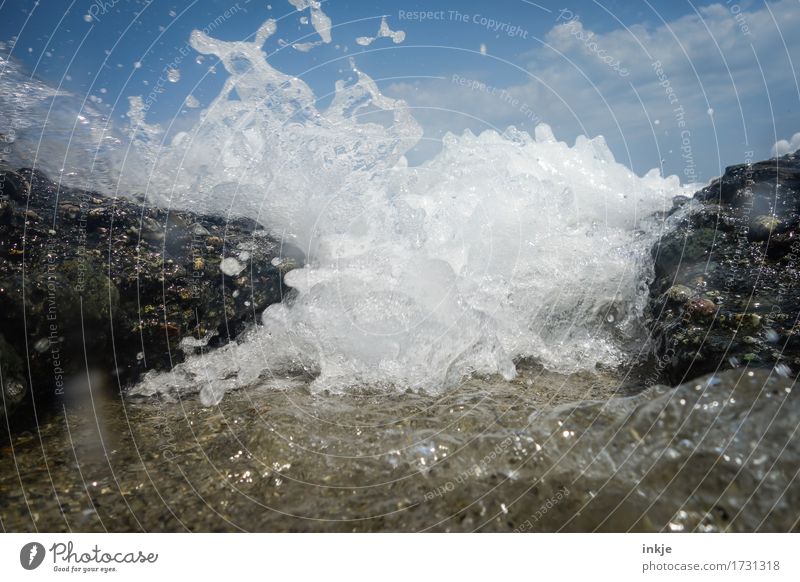 `o °sprotz °O´ Natur Urelemente Wasser Sommer Schönes Wetter Wind Meer Wellen Gischt stark wild Kraft spritzen Naturgewalt Küste Klippe Farbfoto Außenaufnahme