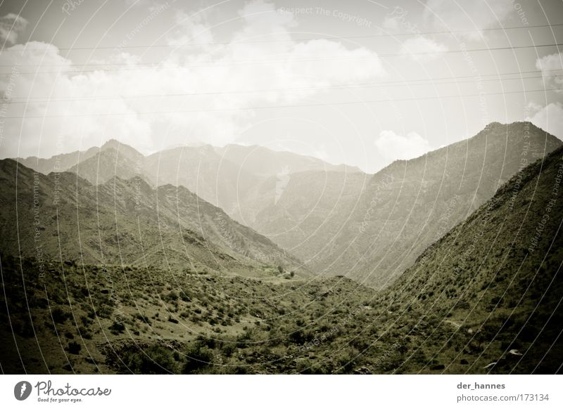 misty Farbfoto Gedeckte Farben Außenaufnahme Menschenleer Textfreiraum oben Tag Silhouette Zentralperspektive Weitwinkel Umwelt Natur Landschaft Erde Himmel