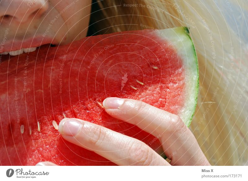 Früchtchen II Farbfoto mehrfarbig Nahaufnahme Detailaufnahme Schatten Sonnenlicht Frucht Ernährung Picknick Vegetarische Ernährung Diät Sommer Sommerurlaub 1