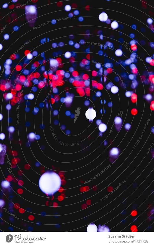 dots Kunst Kunstwerk leuchten Lampe Glühbirne Punkt roter punkt Lichtinstallation Farbfoto mehrfarbig Detailaufnahme Menschenleer Nacht Kontrast