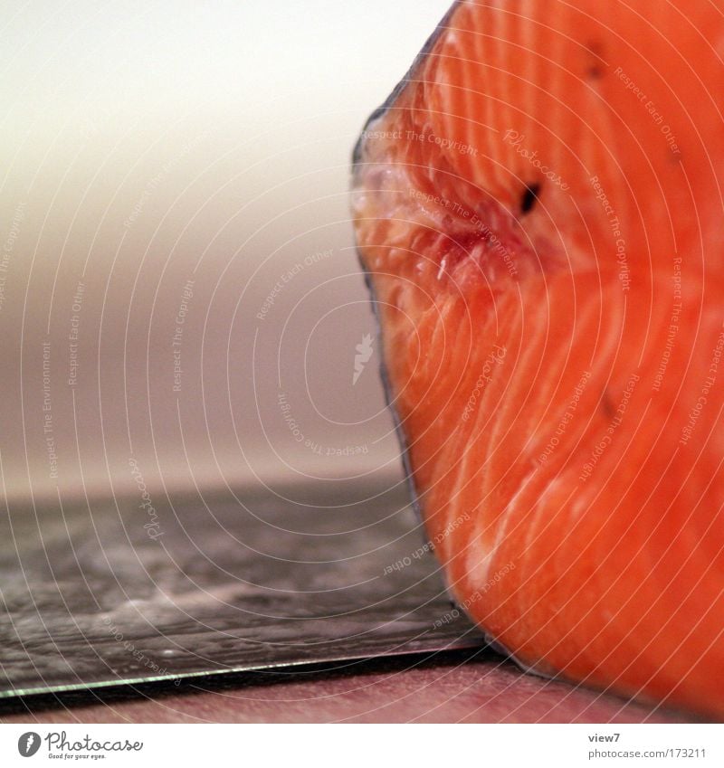 Lachs Farbfoto mehrfarbig Innenaufnahme Makroaufnahme Menschenleer Textfreiraum links Schwache Tiefenschärfe Lebensmittel Fisch Ernährung Besteck Messer frisch