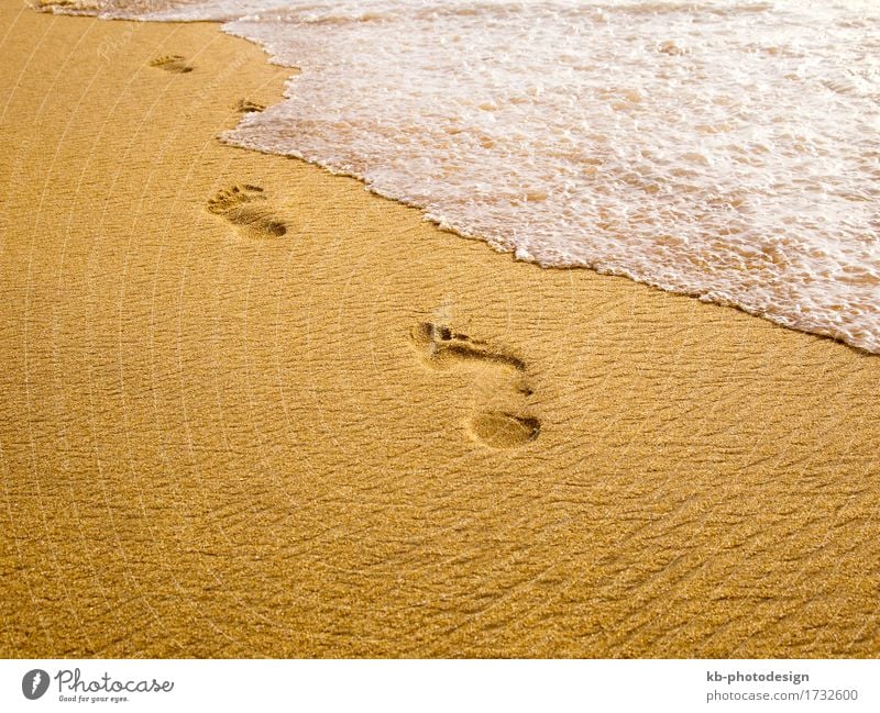 Footprints at the beach Erholung Ferien & Urlaub & Reisen Ferne Sommer Sommerurlaub Strand Sand gehen genießen wave waves foam spum sunny stressed footprint