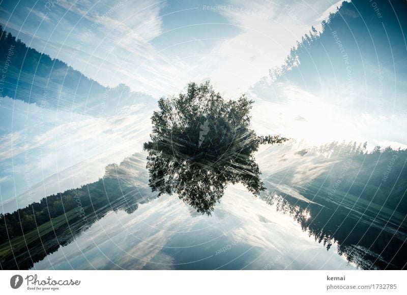 Insel Abenteuer Freiheit Umwelt Natur Landschaft Pflanze Himmel Wolken Sommer Schönes Wetter Baum See Wasseroberfläche außergewöhnlich dunkel verrückt wild blau