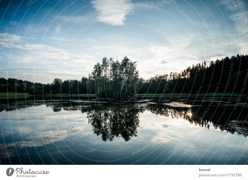 Wenn die Mücken schlafen harmonisch Wohlgefühl Zufriedenheit Sinnesorgane Erholung ruhig Abenteuer Freiheit Umwelt Natur Landschaft Pflanze Wasser Himmel Wolken