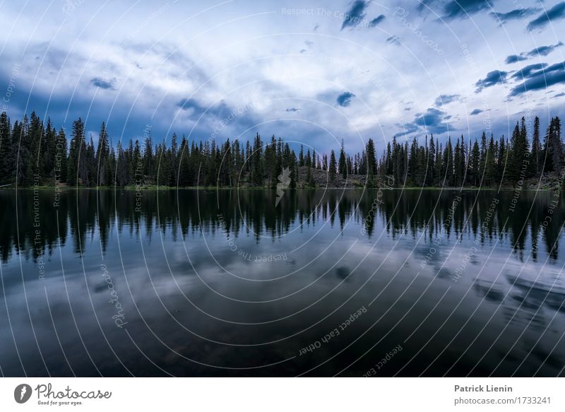 Mosquito Paradise schön Ferien & Urlaub & Reisen Tourismus Abenteuer Sommer Berge u. Gebirge Umwelt Natur Landschaft Himmel Wolken Klima Klimawandel Wetter Baum